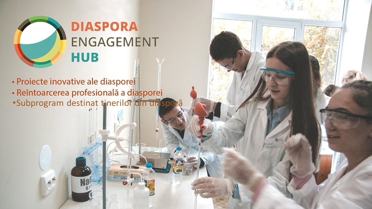 Proiectele câștigătoare în cadrul Programului guvernamental de granturi tematice Diaspora Engagement Hub