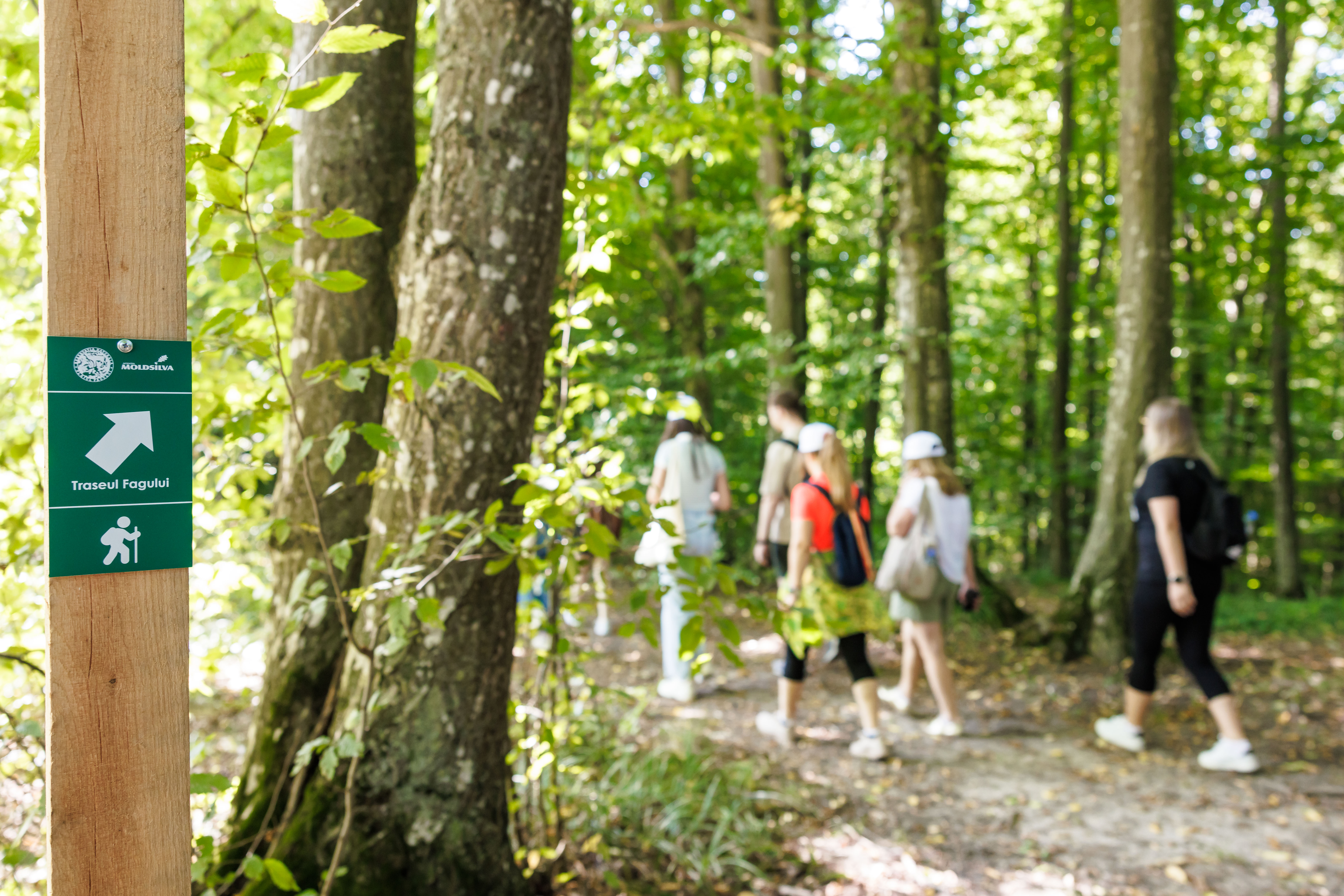 Excursie la Rezervația Naturală „Plaiul Fagului”