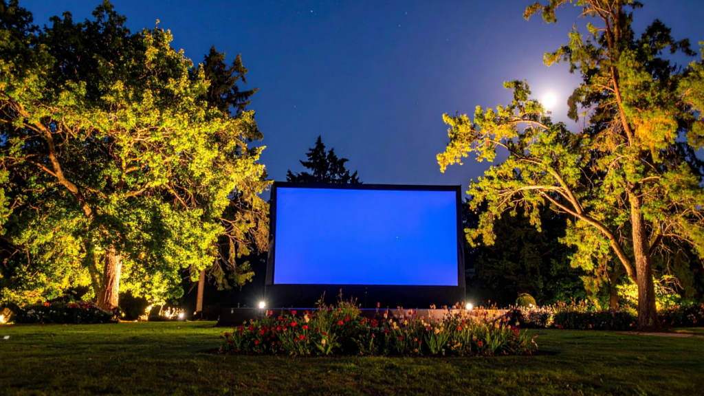 Proiecție de film