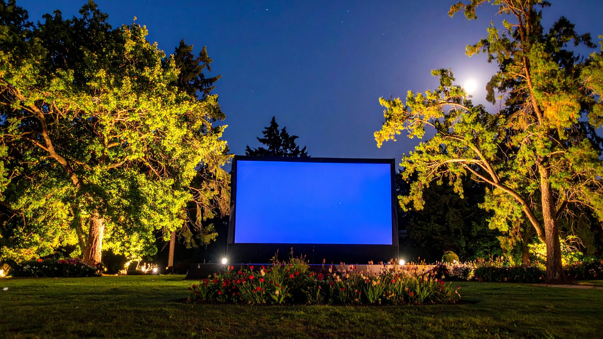 Proiecție de film